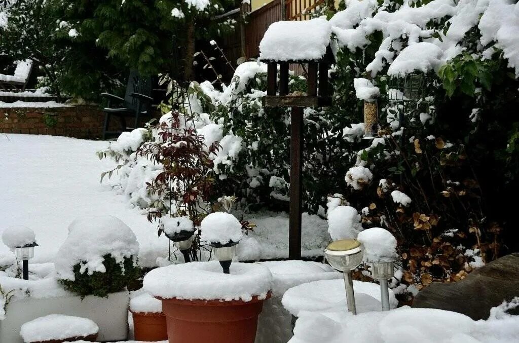 Зимний ландшафт. Огород зимой. Дача. Зима. Январь в саду.