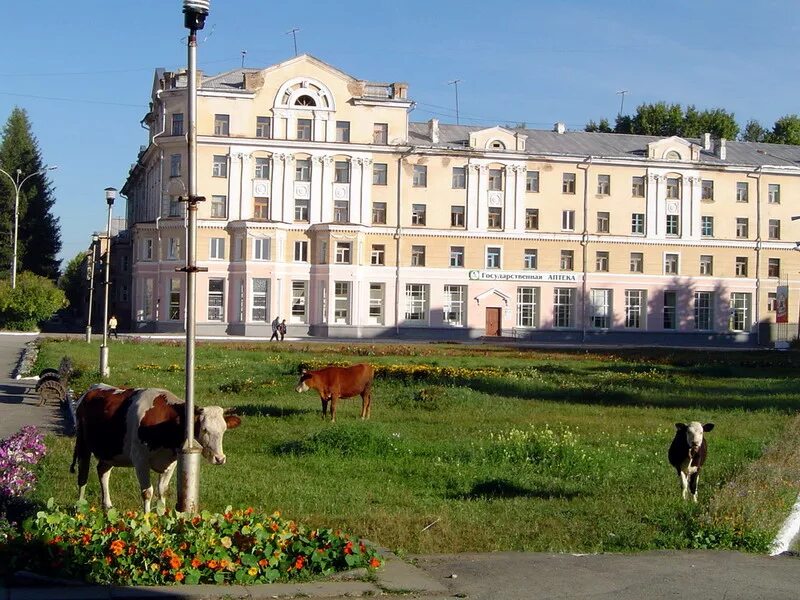 Город североуральск свердловской. Североуральск. город североуральск. североуральск парк. североуральск центр города.