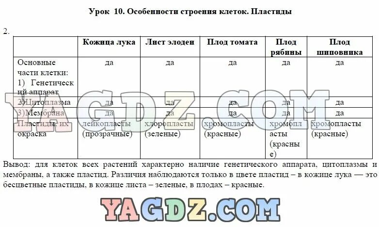 Лабораторная работа 6 класс таблица Фотографии ЛАБОРАТОРНАЯ РАБОТА 1 НАБЛЮДЕНИЕ