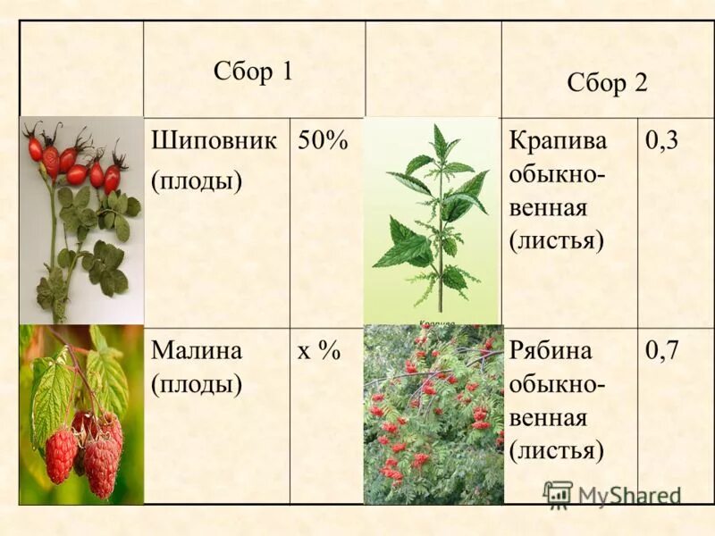 Собирайте крапиву огэ