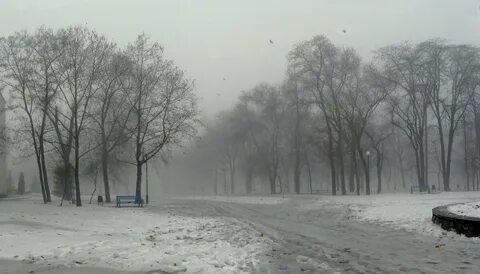 Снег в пасмурный день