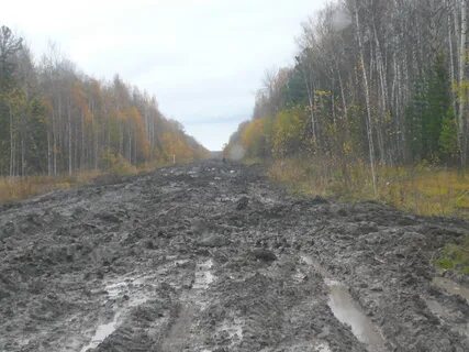 Погода парбиг рп5