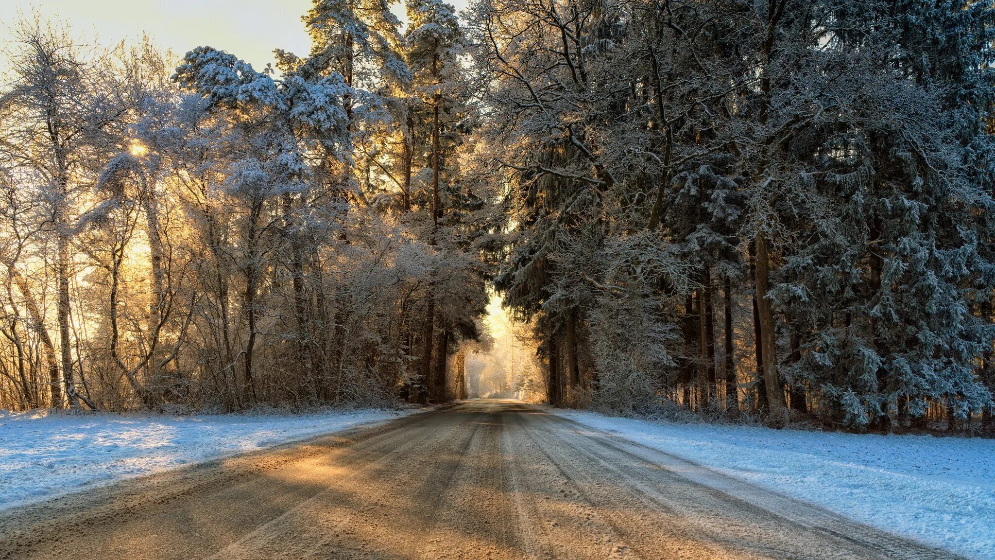 Зимняя дорога. Зимняя дорога в лесу. Зимняя Лесная дорога. Заснеженная дорога в лесу.