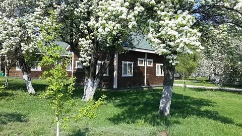 Станица 35