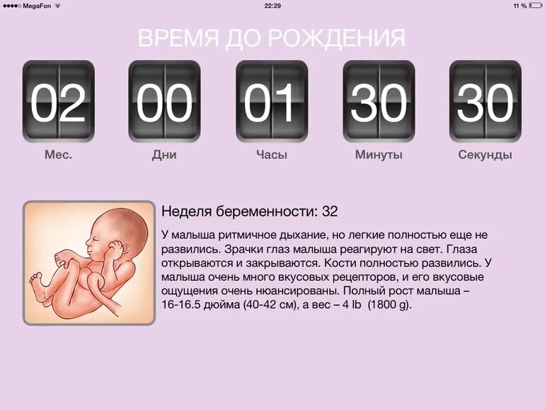 32 Неделя беременности месяц. 32 Неделя беременности сколько. 32 Недели 2 дня беременности.