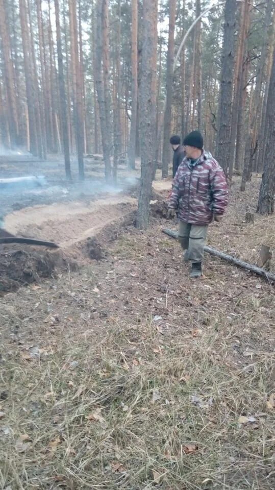 Станция лесхоз. Пожар в лесу Славкино Николаевского. Лесной пожар в Чердаклах Ульяновской области. Кузоватовское лесничество.