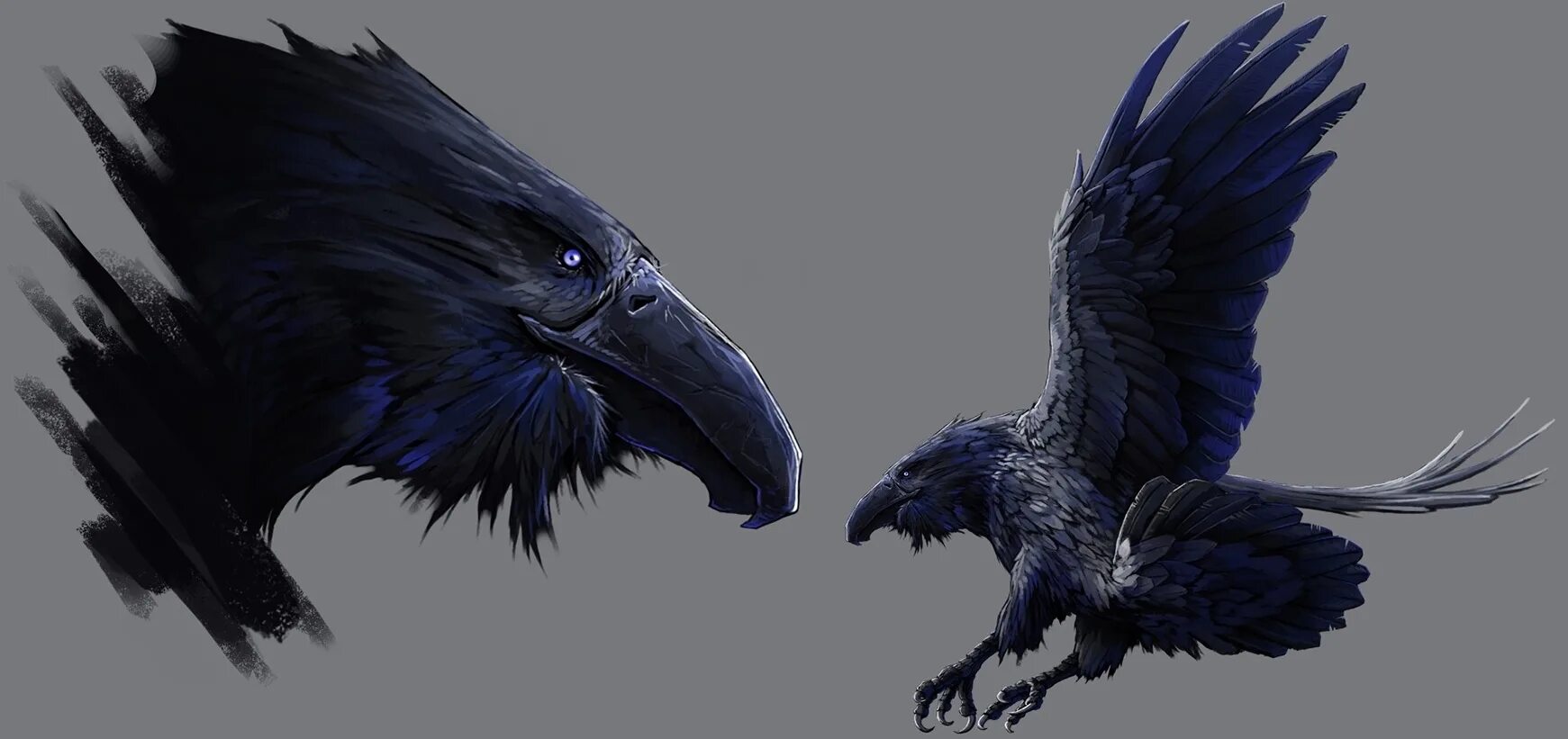 фамильяр грифон черный. ворон фамильяр днд. берсерк болота. ворона арт. существо равен.