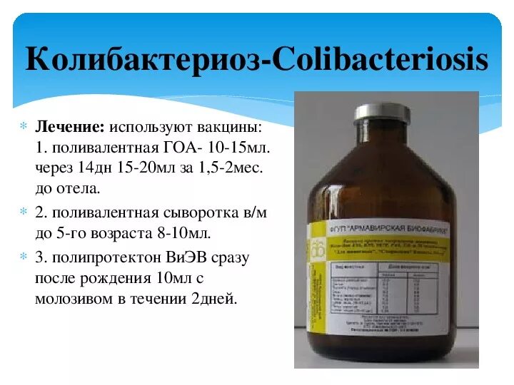 Обработка вакцин. Сыворотка поливалентная против колибактериоза. Сыворотка против колибактериоза КРС. Сыворотка против колибактериоза свиней. Вакцинация поросят от колибактериоза.