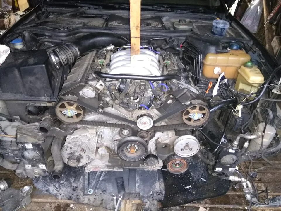 Ремень ауди а8 4. 2. 2 ауди. Ремень ауди а8 д2. Audi a6 c5 2.