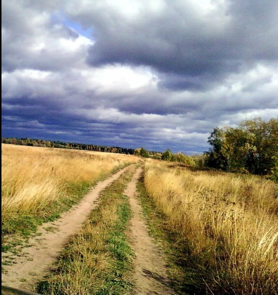 В родных местах дорога. Проселочная дорога. Старая дорога. Сельская дорога. Дорога в степи.