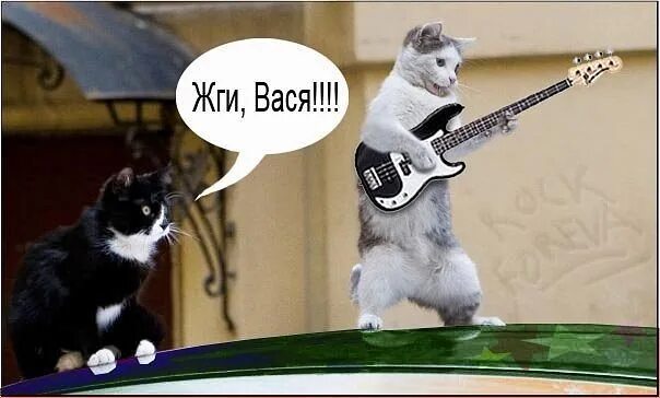 Вася бросил. Вася бросил. Вася бросил. Вася бросил. Ты меня вчера бросил вася.