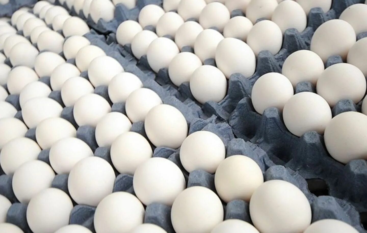 Кораблей Eggs. Huevo. Egg form. Eggs Export. All eggs in sols rng