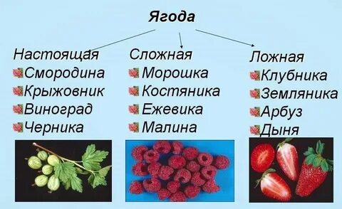 Да это ягода