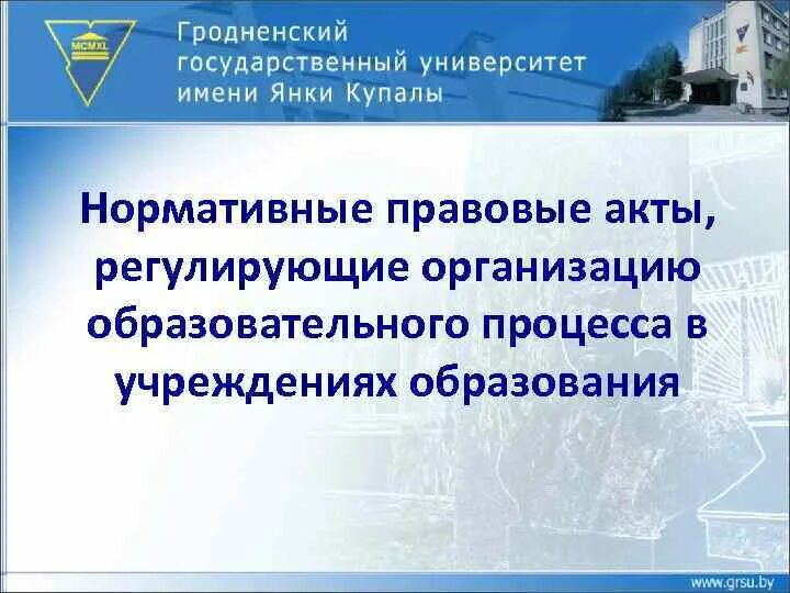 Регулирующие учреждения. Нормативно правовые акты регулирующие учебный процесс. НПА регулирующие организацию ЦЗН. НПА регулирующим организацию социальной работы с семьей и детьми.. Информация регулируемых организаций