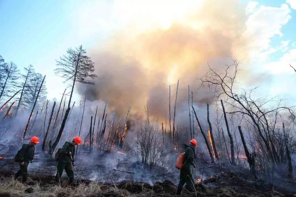 Ситуации регионального характера. ЧС пожар. Чрезвычайная ситуация пожар. Пожар в лесу. Чрезвычайная ситуация Лесные пожары.