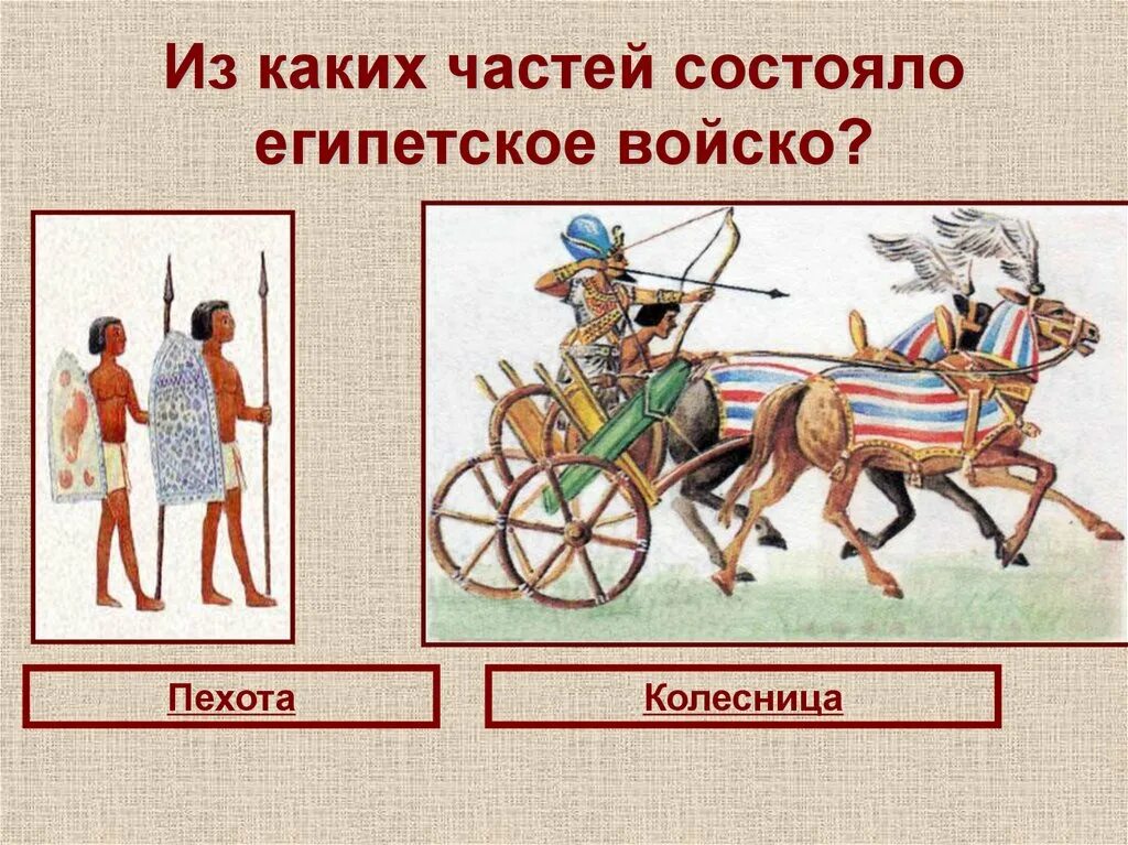 Военные походы фараонов 5 класс впр кратко. Военные походы фараонов в древнем Египте таблица. Армия древнего Египта 5 класс. Военные походы фараонов в древнем Египте 5 класс. Военные походы фараонов презентация.