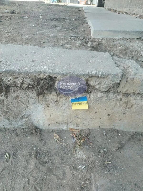 ураган в крыму 29 ноября. происшествия симферополь. чп крымский ветер. краз порвал провода город орел. дерево в крыму от ветра.