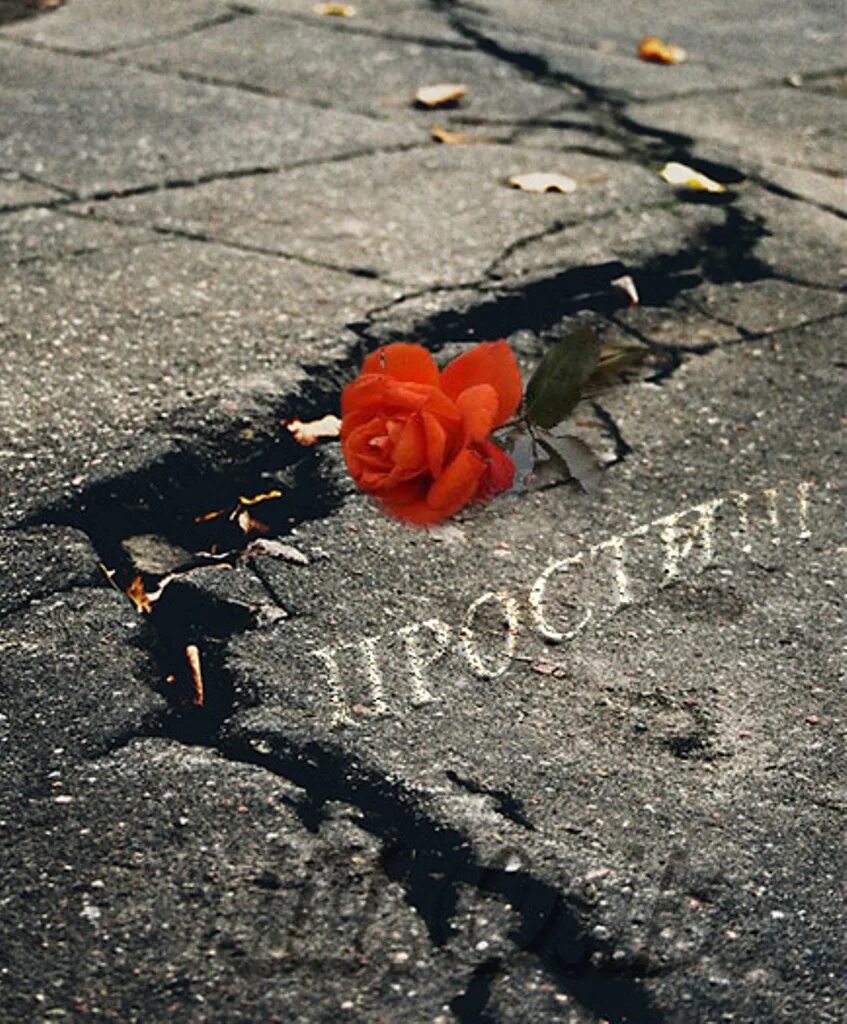 Помню было чуть не. Помню было чуть не
