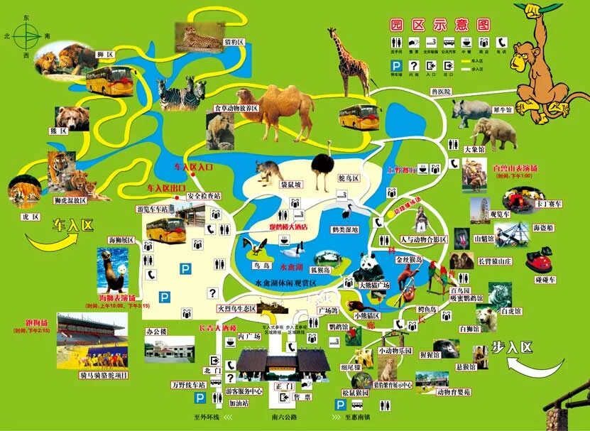 Парк скульптуры в парках китая. Шанхайский парк дикой природы. Wild animal park шанхай. Shanghai wild animal park somon horses. Шанхай вайлд энимал парк.