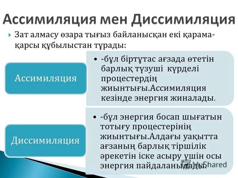 Почему ассимиляция невозможна без диссимиляции и наоборот. Почему ассимиляция невозможна без диссимиляции и наоборот
