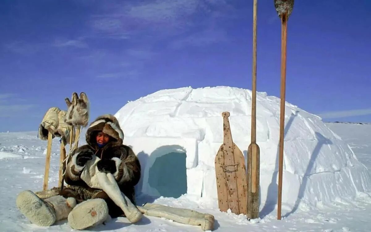 Житель иглу. Яранги эскимосов Аляски. Эскимосы инуиты. Иглу жилище эскимосов. Инуиты — Канадские Эскимосы.