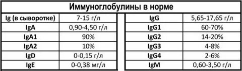 Иммуноглобулин е норма мл