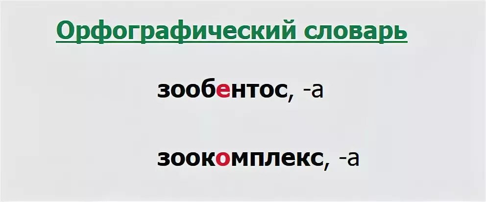 Слова заканчивающиеся на зо. Слово которое кончается на зо. Три слова которые заканчиваются на зо. Слова которые кончаются на зо.