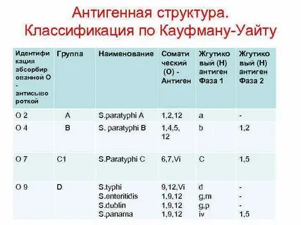 Классификация кауфмана уайта сальмонелл