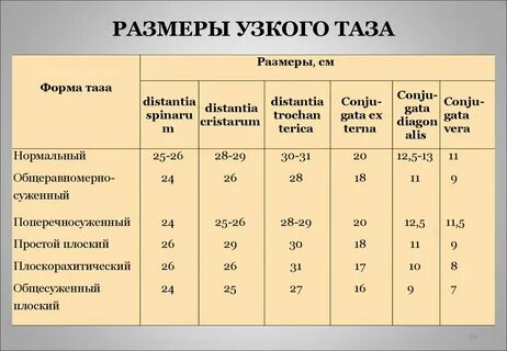 Средние размеры таза