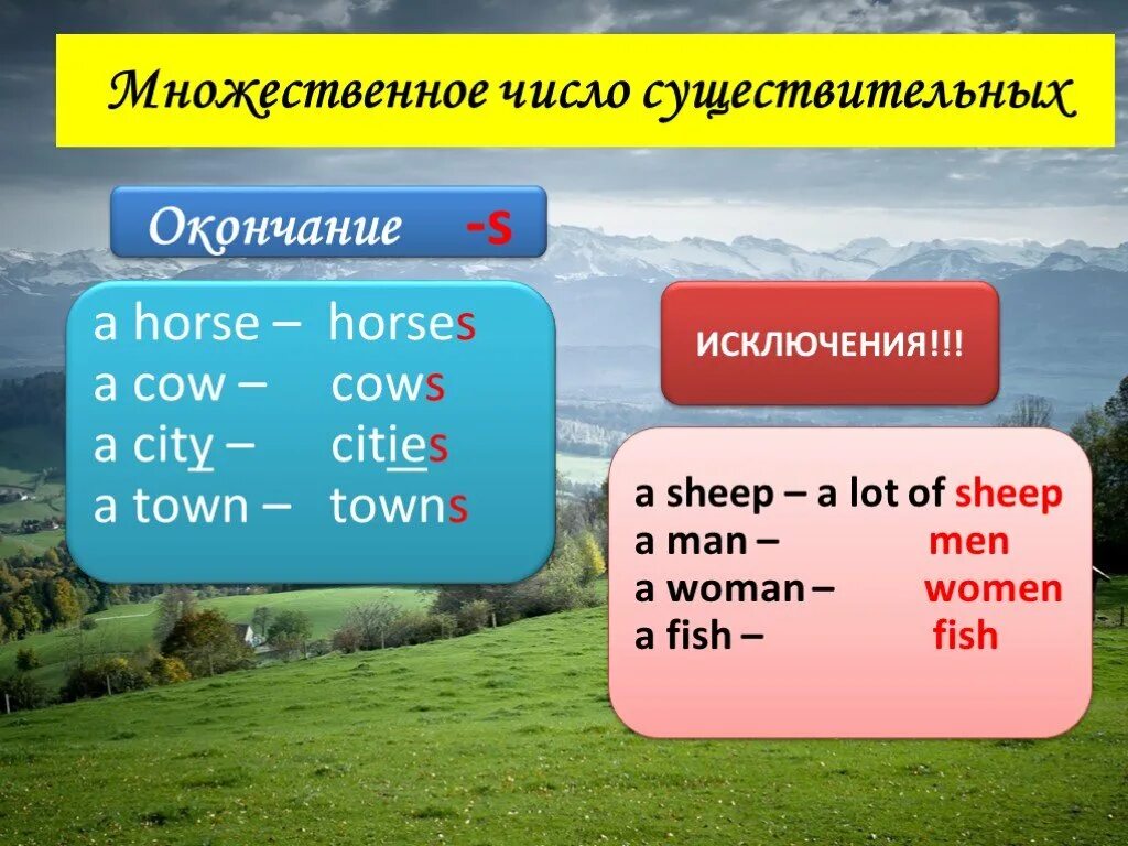 Жизнь множественное число. Sheep во множественном числе на английском. Sherp множественное число. Овцы во множественном числе на английском. Sheep множественное число множественное.