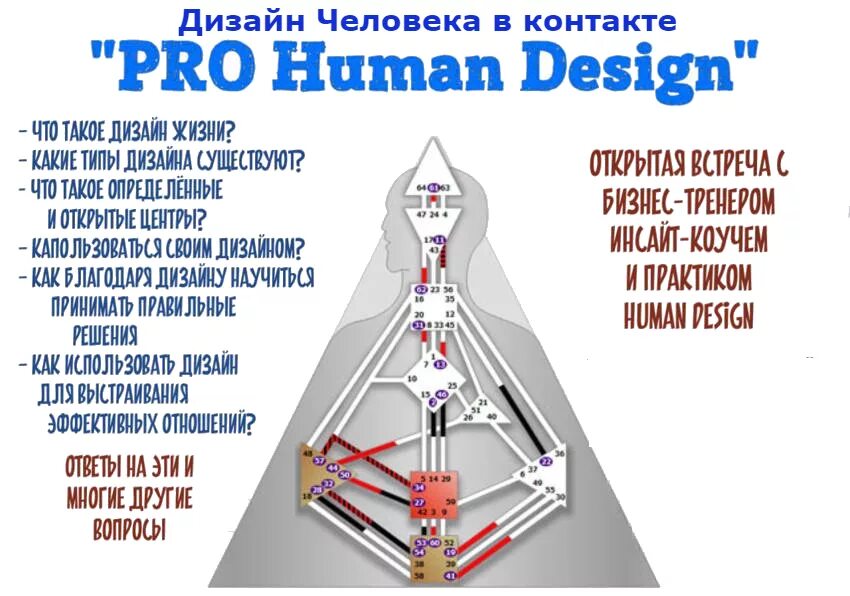 Генератор проектор манифестор рефлектор. Дизайн человека. Дизайн человека - Human Design. Центры в дизайне человека. Хьюман на русском