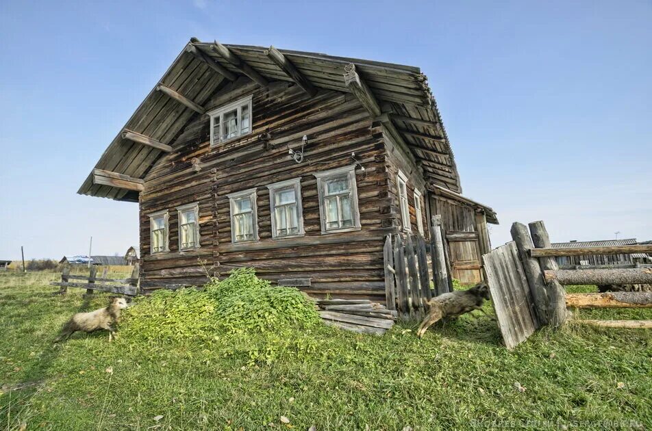 Деревня Куликовская Шенкурский район Архангельская область. Куликовская деревня Шенкурского района. Деревня Нецветаевская Шенкурский район. Деревни Шенкурского района Архангельской.