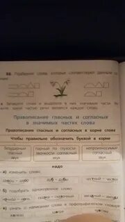 Определи каким является каждое