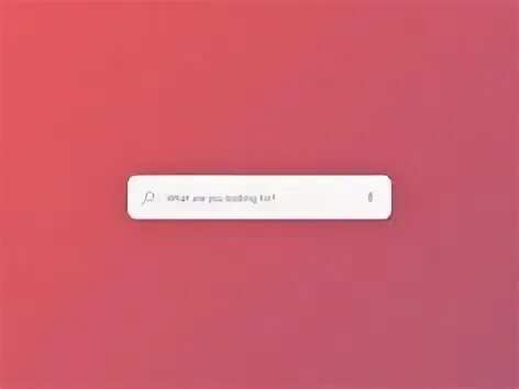 Search 22