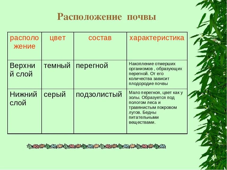 От каких условий зависит плодородие почвы приведите. Образование почв и их разнообразие. образование почвы таблица. размещение почв. основные типы почв.