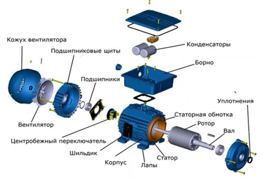Статор электродвигателя и якорь электродвигателя. Конструкция ротора асинхронного электродвигателя. Ротор статор якорь. Статор двигателя электродвигателя асинхронного. Из чего состоит ротор автомобильного генератора.