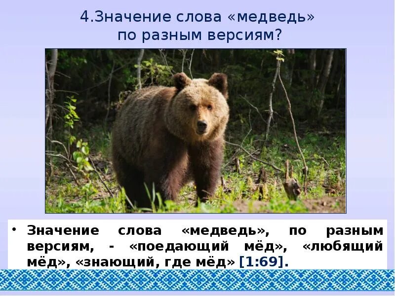 Значение слова медведь. Текст про медведя. Слово медведь. Происхождение слова медведь. Толкование слова медведь.