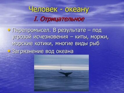 Факторы влияющие на жизнь в океане