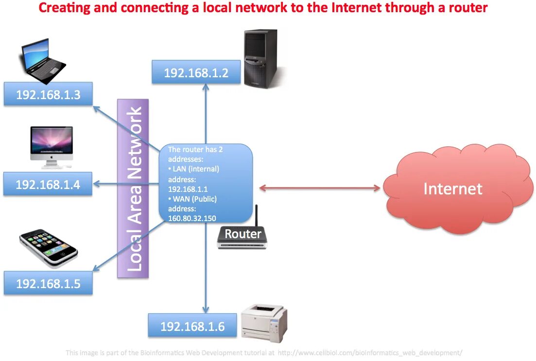 Are you connected to the internet. Lan сеть. Local area Network lan. Lan и Wan структура. Connected to the Internet *.