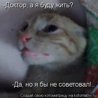 Я доктор а не