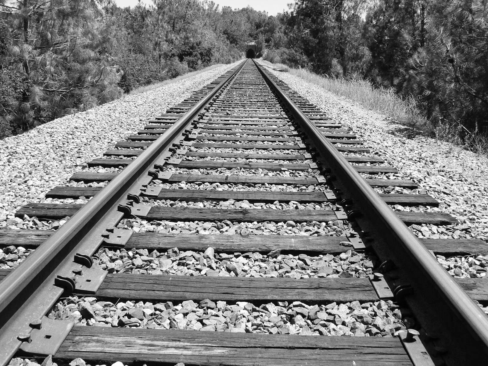 Rail line. Ring Rail line фото. Angren–Pop Railway line. A Double-track Rail line.