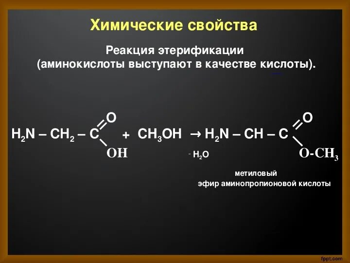 Метиловый эфир Альфа аминопропионовой кислоты. Реакция этерификации Альфа аминокислот. Реакция на Альфа аминокислоты. Реакции аминопропионовой кислоты. Напишите реакцию глицина