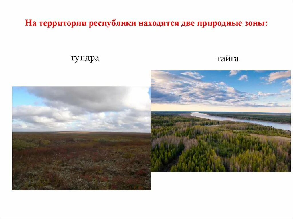 Республика Саха природные зоны. Тундра. Якутск природная зона. Природные зоны якутии