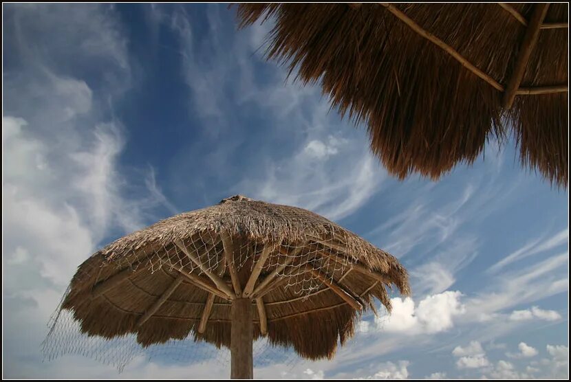 дожди на дальнем востоке. обозначение направления ветра. сады астраханской области. погода в москве на неделю точный. ветер, дождь и облака.