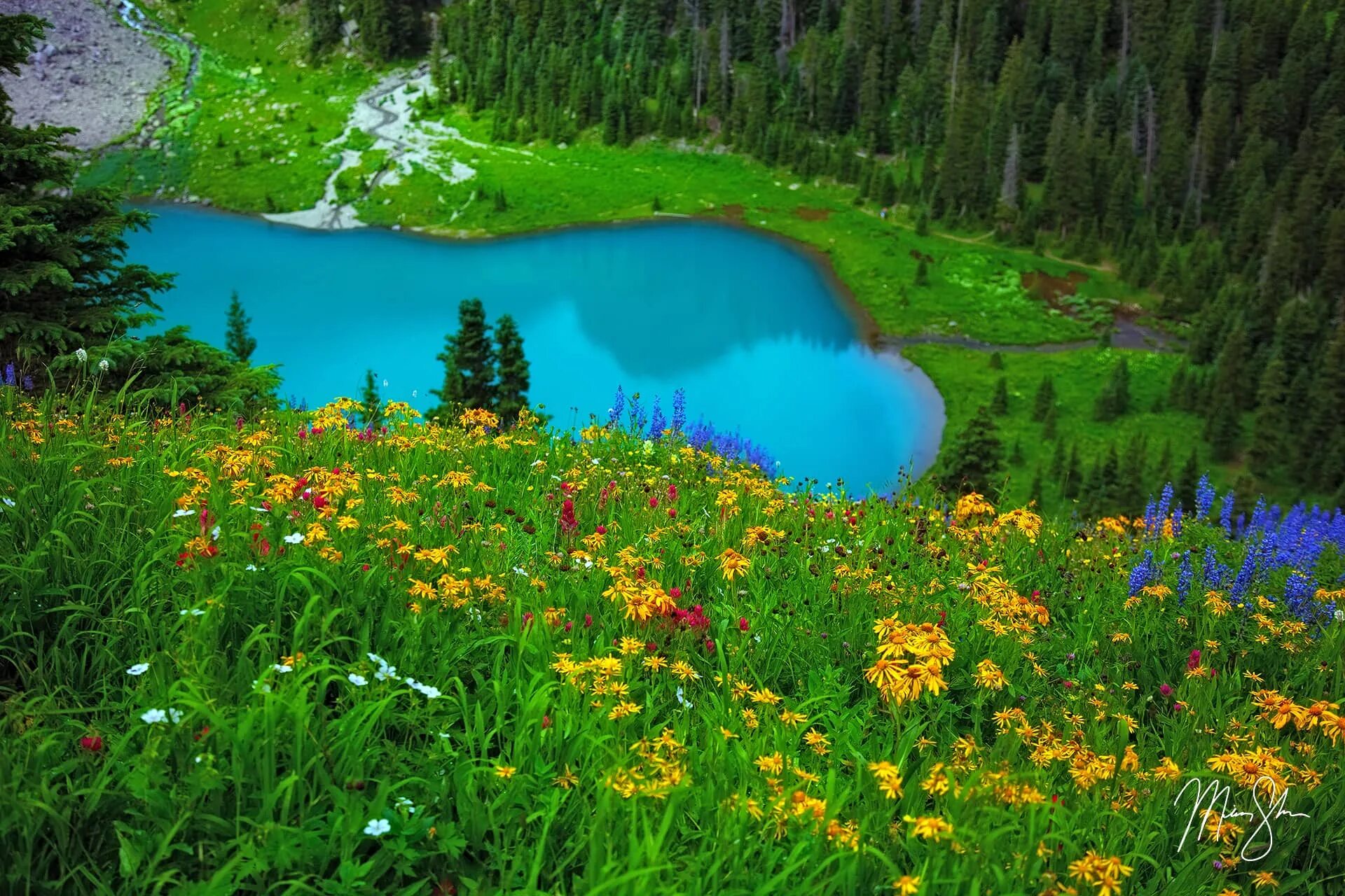 Самые красивые лет