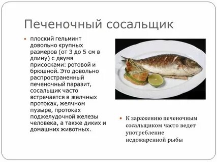 Пути заражения печеночным сосальщиком