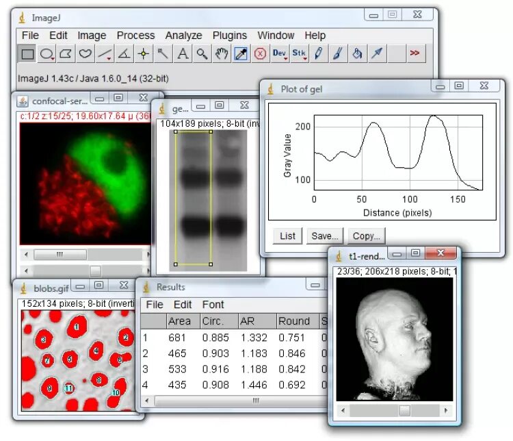 Программа imagej. Imagej программа. image j. freeware программа. анализ программ.