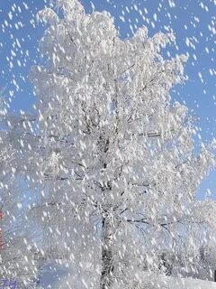 Серебряный снег