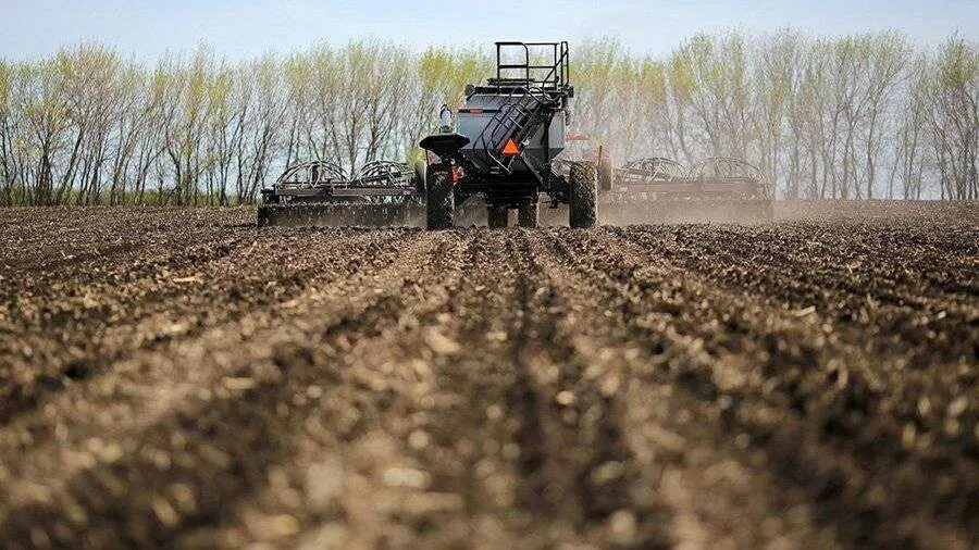 осенние полевые работы. первые полевые работы.