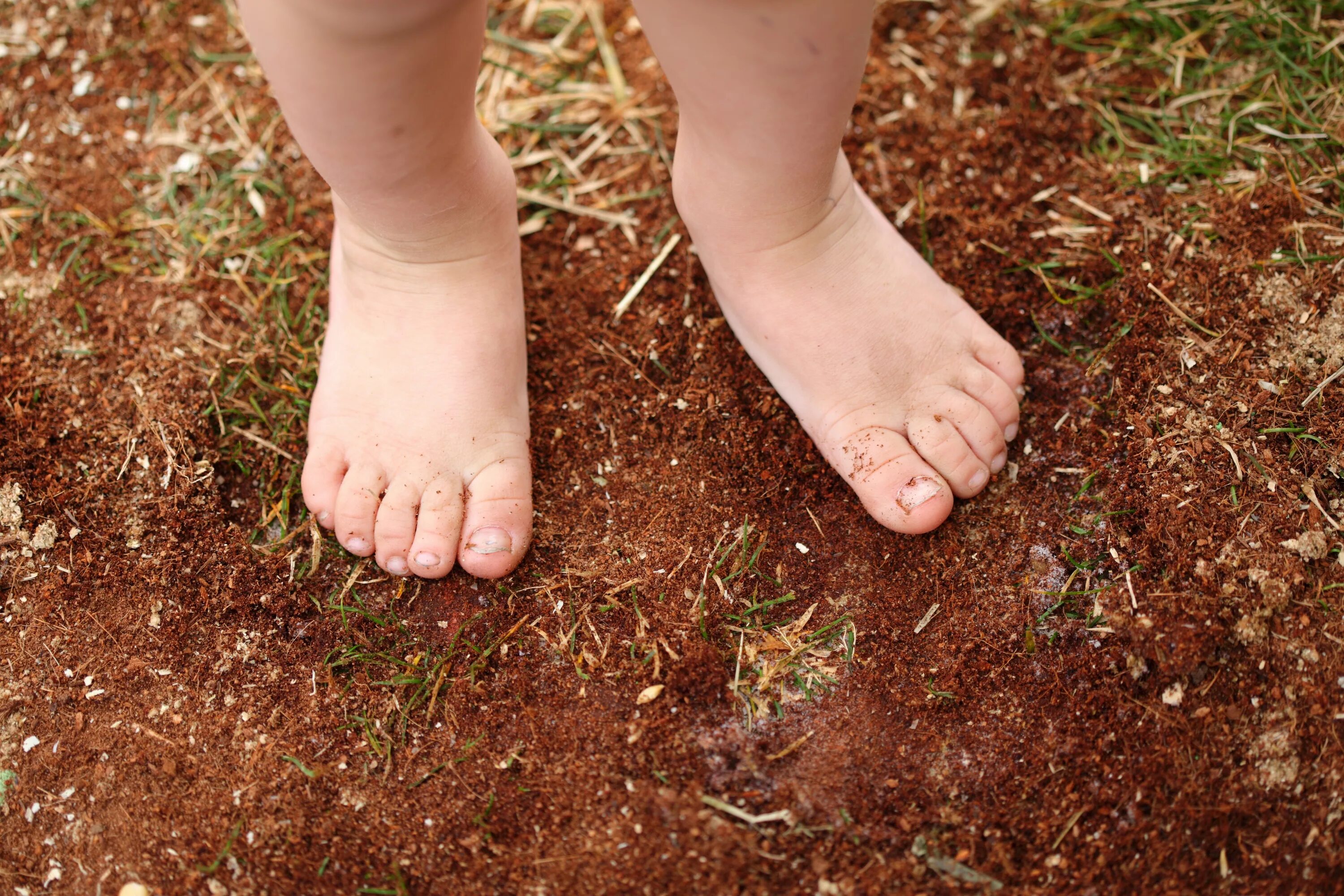 Your feet on the ground. Хождение босиком. Босыми ногами по земле. Под ногами земля. Почва под ногами.